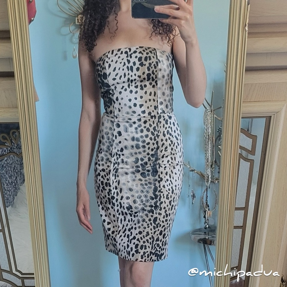 Zara Strapless Cheetah Print Mini Dress